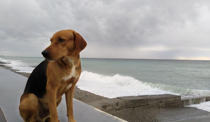 Bitrix 135151: WhatsApp-Image-2023_06_12-at-13.30.19.jpeg