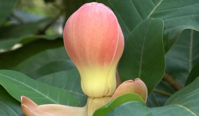 Bitrix 135862: WhatsApp-Image-2023_06_27-at-10.13.31.jpeg