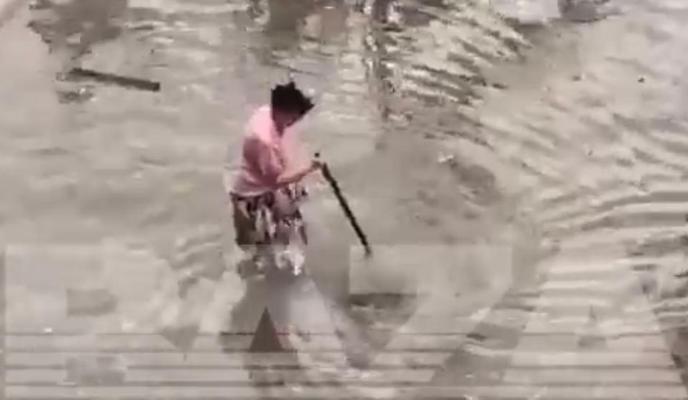 Bitrix 136566: WhatsApp-Image-2023_07_12-at-14.18.17.jpeg