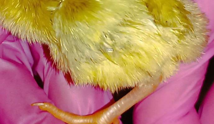 Bitrix 137166: WhatsApp-Image-2023_07_22-at-11.17.44.jpeg