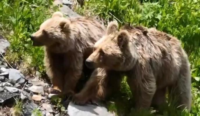 Bitrix 136976: WhatsApp-Image-2023_07_19-at-15.04.58.jpeg