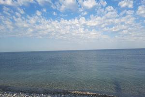 Bitrix 137133: WhatsApp-Image-2023_07_21-at-17.04.39.jpeg