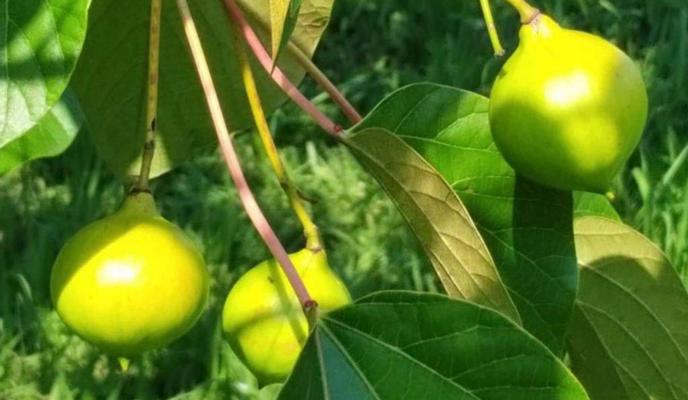 Bitrix 136843: WhatsApp-Image-2023_07_17-at-18.37.00.jpeg