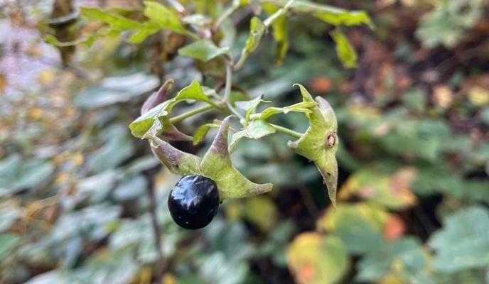 Bitrix 137553: WhatsApp-Image-2023_07_28-at-16.34.22.jpeg