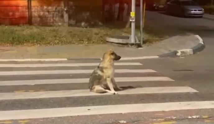 Bitrix 139733: WhatsApp-Image-2023_09_12-at-15.21.20.jpeg