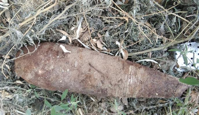 Bitrix 139771: WhatsApp-Image-2023_09_13-at-10.47.26.jpeg