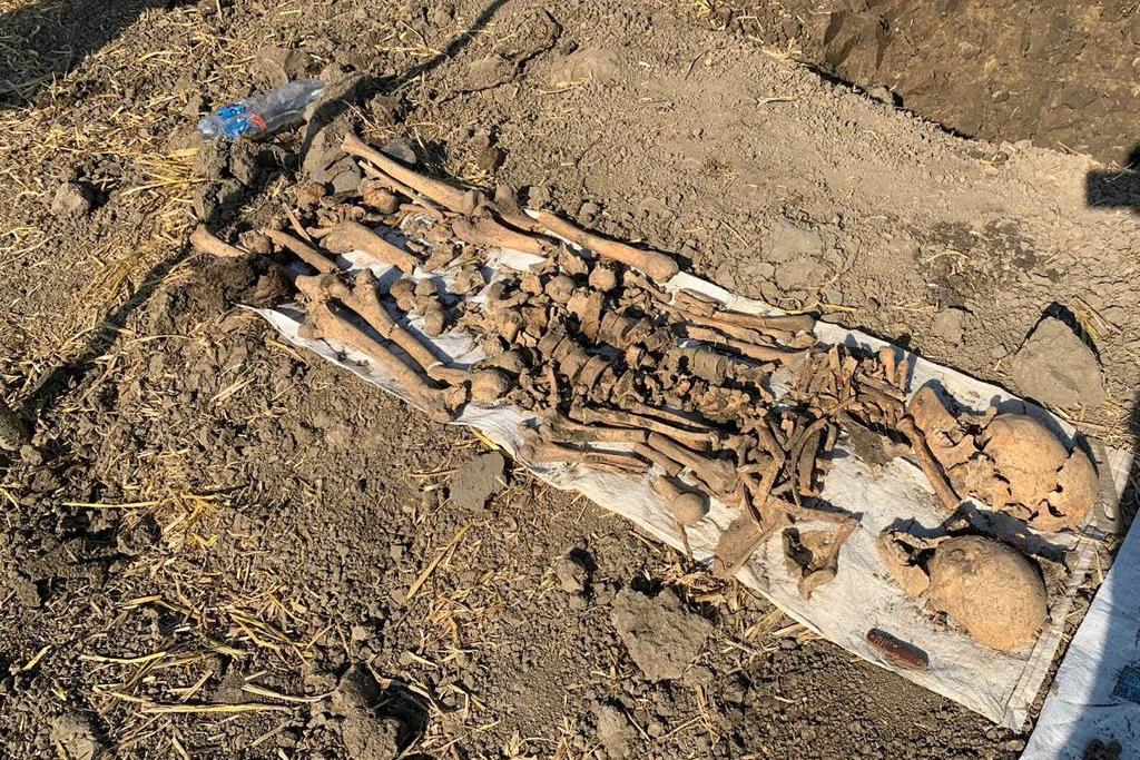 Bitrix 137264: WhatsApp-Image-2023_07_24-at-18.28.00-_4_.jpeg