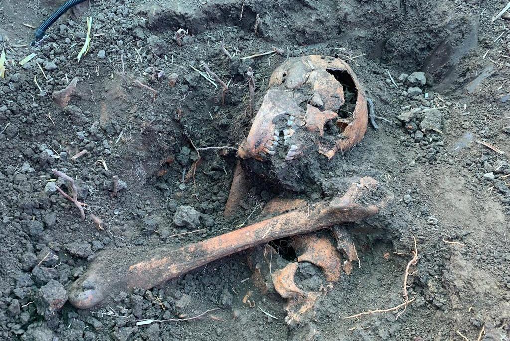 Bitrix 137263: WhatsApp-Image-2023_07_24-at-18.28.00-_3_.jpeg