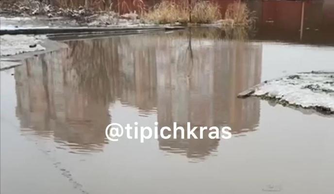 Bitrix 144711: WhatsApp-Image-2024_01_12-at-11.33.39.jpeg