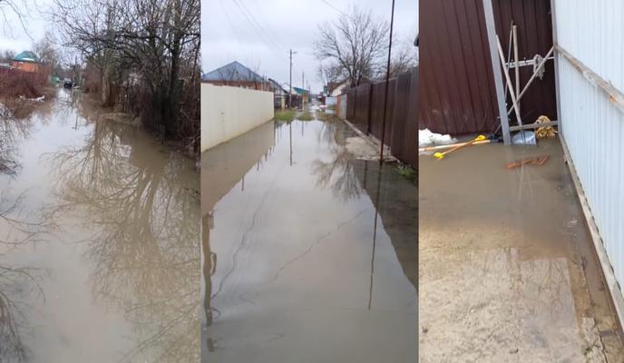 Bitrix 145497: WhatsApp-Image-2024_01_29-at-09.19.56.jpeg