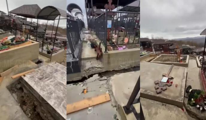 Bitrix 146270: WhatsApp-Image-2024_02_12-at-09.44.16.jpeg