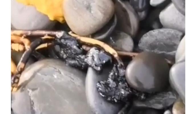 Bitrix 146373: WhatsApp-Image-2024_02_13-at-11.41.25.jpeg