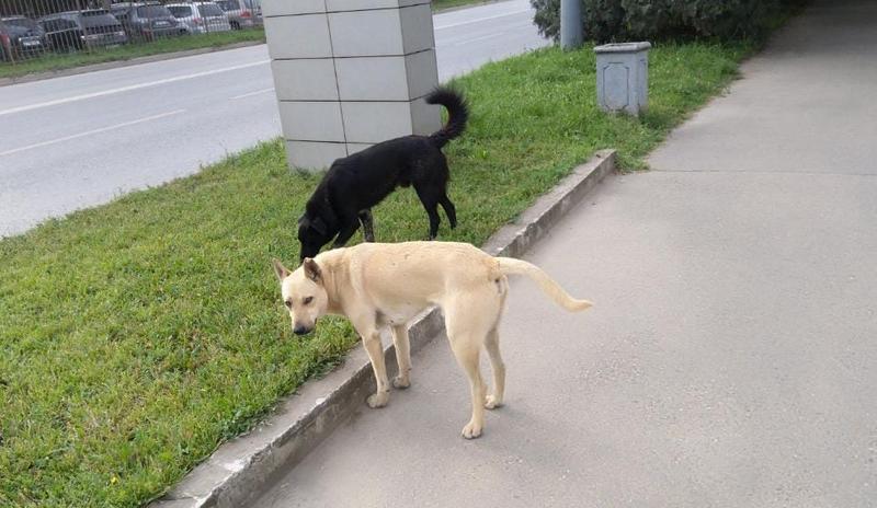 Bitrix 146770: WhatsApp-Image-2024_02_20-at-10.03.37.jpeg