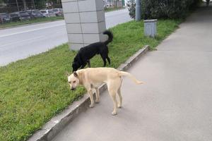 Bitrix 146770: WhatsApp-Image-2024_02_20-at-10.03.37.jpeg