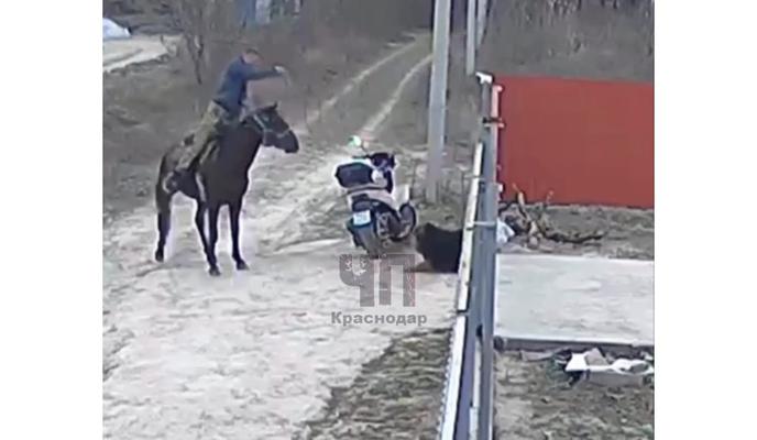 Bitrix 147786: WhatsApp-Image-2024_03_11-at-13.49.12.jpeg