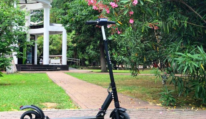 Bitrix 97950: XXL_12_.jpeg