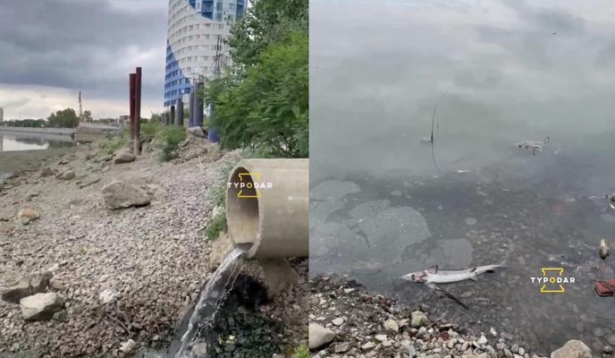 Bitrix 104357: XYBzJK_1uYk.jpg