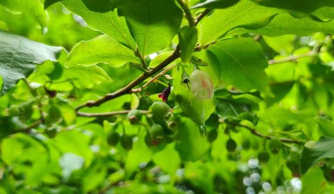 Bitrix 153949: Xt3v7vi0O5A.jpg