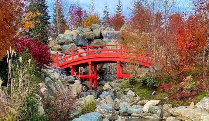 Bitrix 131101: YAponskiy-sad-Krasnodar.jpg