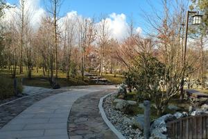 Bitrix 185214: YAponskiy-sad-Park-Galitskogo3.jpeg
