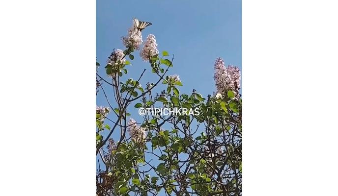 Bitrix 122250: YpOB7956iRzT_6UiJTYFauV2rgwWn9IKMD37NzsQYyeC4rMlygfz7WGc1zBb44jNqpBC_RssRtMFqzDLIQAx5m7I.jpg