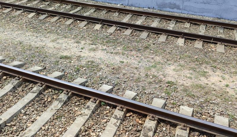 Bitrix 163648: ZHd-relsy1.jpeg