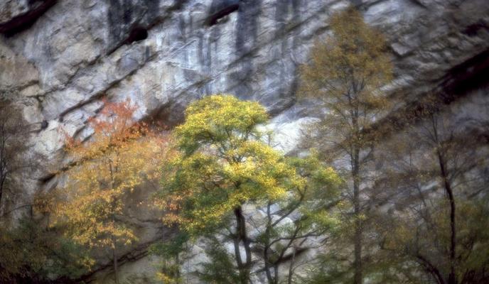 Bitrix 106611: Zamorkin_1.jpg