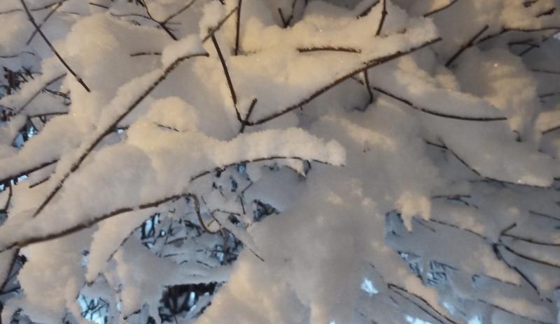 Bitrix 111988: Zima-.jpeg