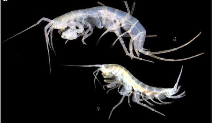 Bitrix 129581: _1.png