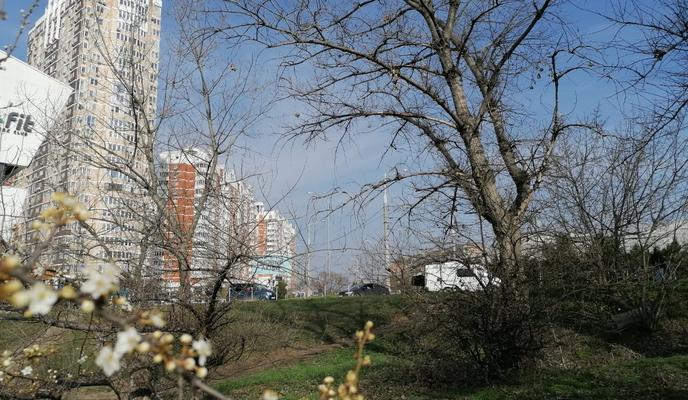 Bitrix 93602: a39100b4_6495_4a02_9c53_532328224258.jpg