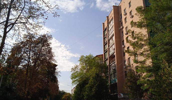 Bitrix 123555: a46cb72b_3e65_4c9a_a673_4033c21353fb.jpg