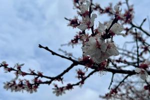 Bitrix 168601: a4b0fbb6_ec17_49aa_85ac_044042a8fe56.jpg