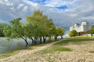 a51a3d4e-844c-4740-ae6f-63c9fccede37