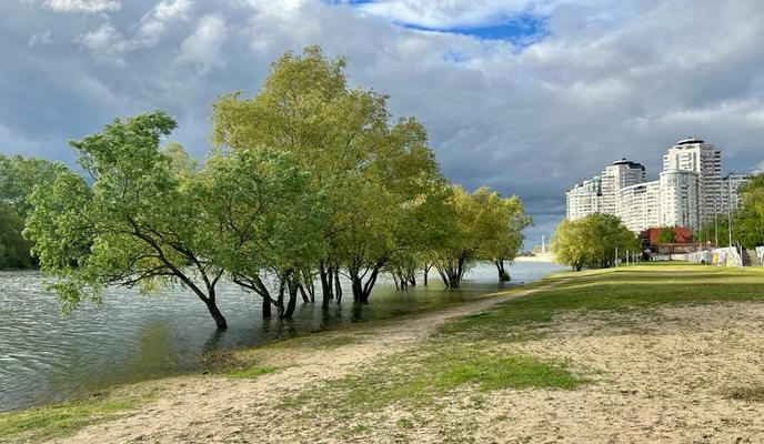 a51a3d4e-844c-4740-ae6f-63c9fccede37