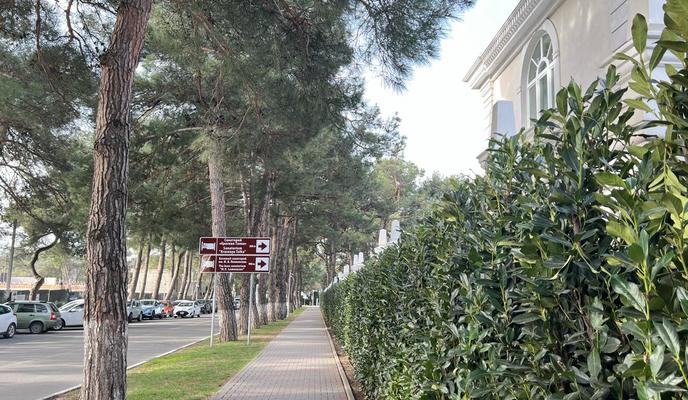 Bitrix 165224: a679753e_15ff_445f_9292_e83704fc321f.jpg