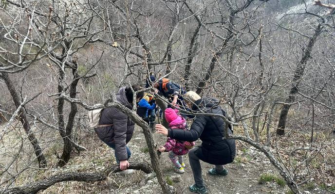 Bitrix 148426: a7a8028b_5d60_4634_a098_5e2936c52e32.jpg