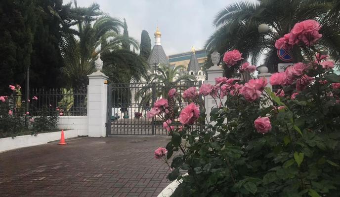 Bitrix 100100: a7f2fa4d_6245_405e_8887_110a2f43a03a.jpg