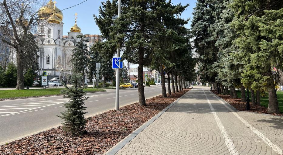 aac0b72f-b1a5-4d50-b9c4-dd266d517e6c