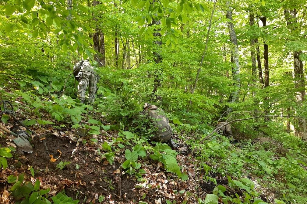 Bitrix 134605: ab57f546_fe52_407b_94f8_90f711a50c86.jpg