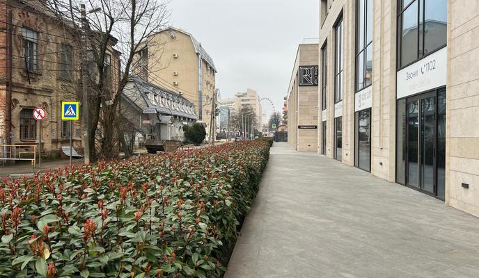 Bitrix 184688: ac58265c_879f_4049_b643_4149c6e1fa78.jpg