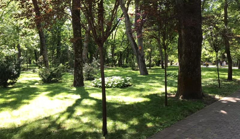 Bitrix 120755: ac7138ec_e2a7_4b56_a099_fcd14770a328.jpg