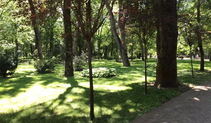 Bitrix 98420: ac7138ec_e2a7_4b56_a099_fcd14770a328.jpg