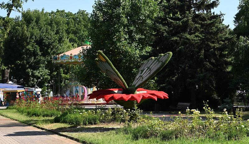 Краснодар на выходных ждут кинопоказы, концерты и мастер-классы