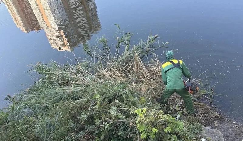 В Краснодаре с осени очистили 29 тысяч кв. м берегов и поверхности озёр