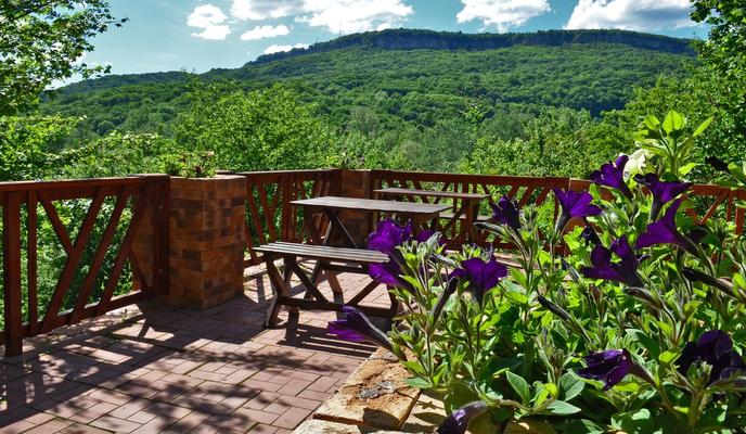 Bitrix 96315: ammonit_1.jpeg