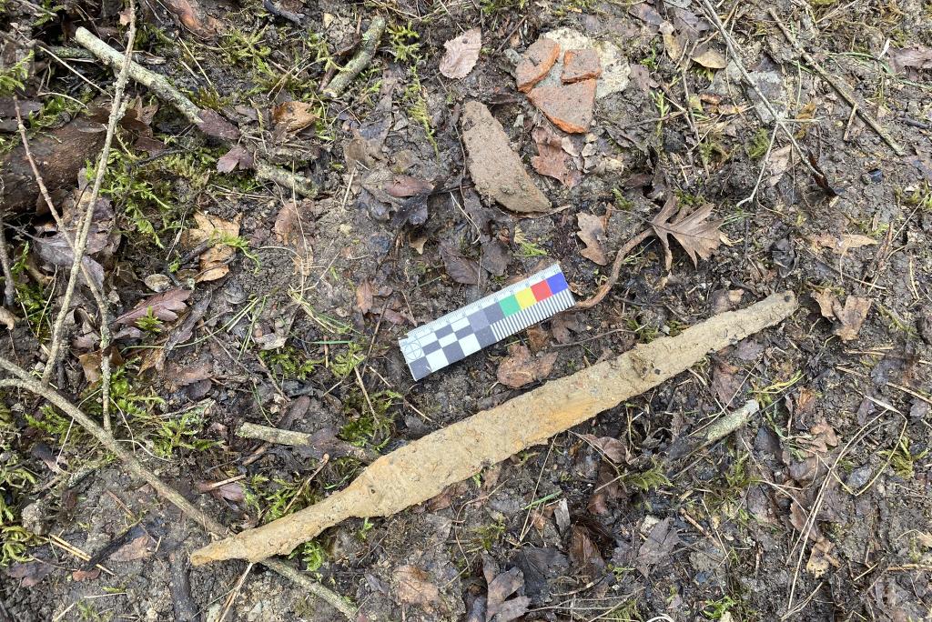 Bitrix 128609: artefakty.jpeg