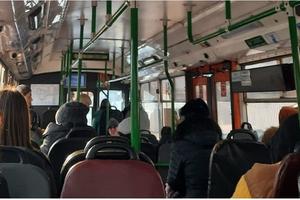 Bitrix 145968: avtobus_-trolleybus_-transport.jpg