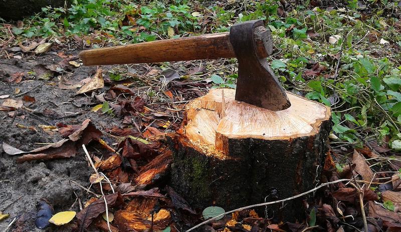 Bitrix 95207: axe_497181_1280.jpg