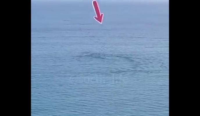 Bitrix 99188: aypmcTQWRao.jpg