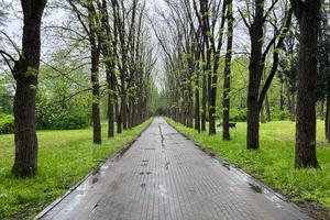 b237e7ae-92c0-49dd-a545-11a686a9c171